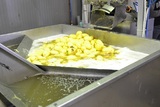 Sorting and Peeling line for Potatoes