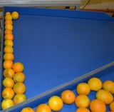 Γραμμή Ταξινόμησης για Πορτοκάλια