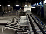 Processing-Sorting-Grading-Sizing and Packaging Line for Kiwi