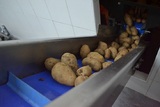 Γραμμή Επεξεργασίας και Τυποποιήσης κομμένης Πατάτας