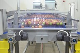 Grading - Sorting - Sizing and Processing Line for Apples