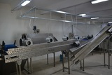 Sorting and Packaging Line for cut Potatoes