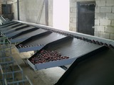 Sorting-Grading-Processing Line for Plums