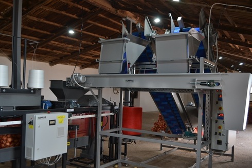 Sorting and Packaging line for Onions