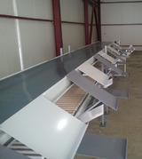 Packaging Line for Grapes