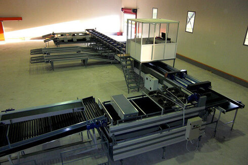 Sorting-Grading-Sizing-Packaging Line for Pears